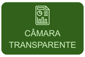 camara transparente
